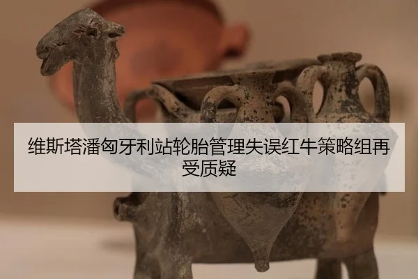 wei-si-ta-pan-xiong-ya-li-zhan-lun-tai-guan-li-shi-wu-hong-niu-ce-lve-zu-zai-shou-zhi-yi-2-712.jpg