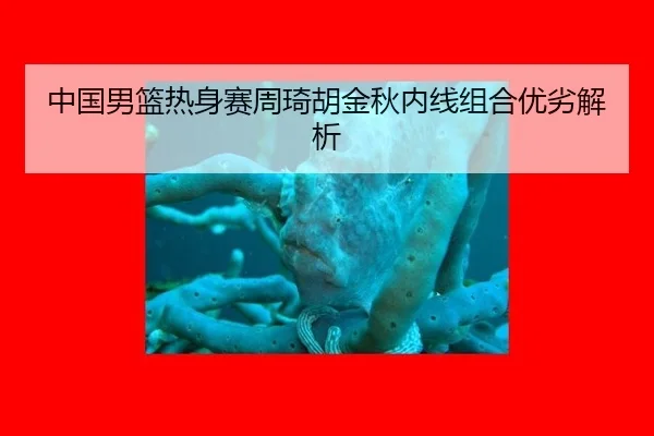 zhong-guo-nan-lan-re-shen-sai-zhou-qi-hu-jin-qiu-nei-xian-zu-he-you-lie-jie-xi-2-437.jpg