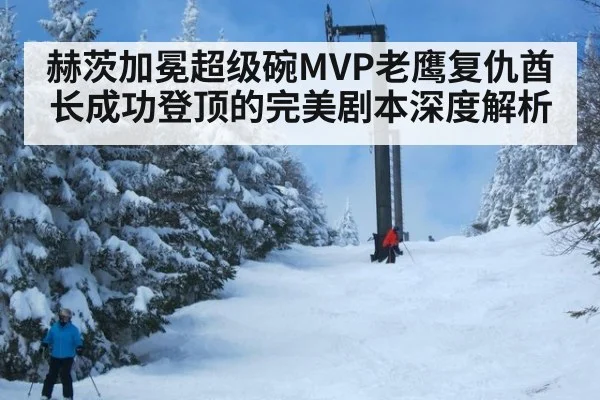 赫茨加冕超级碗MVP老鹰复仇酋长成功登顶的完美剧本深度解析