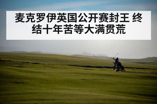 麦克罗伊英国公开赛封王 终结十年苦等大满贯荒